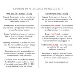 Champion Evolution Pearl Helmet - Navy -Riding Apparel Store 405327 800 800